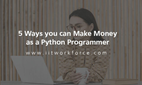 5 Ways you can Make Money as a Python Programmer - iitworkforce
