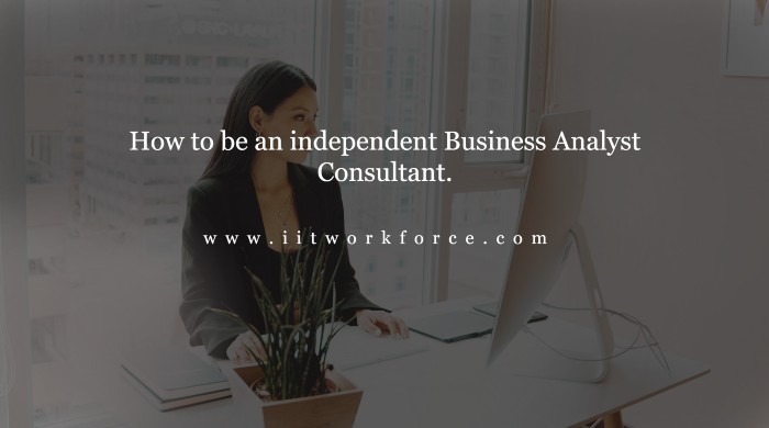 How to be an independent Business Analyst Consultant.